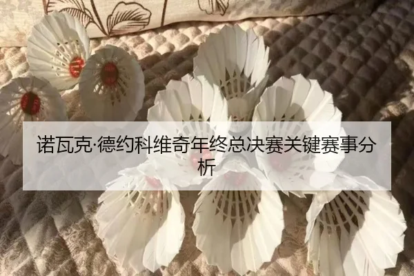 诺瓦克·德约科维奇年终总决赛关键赛事分析